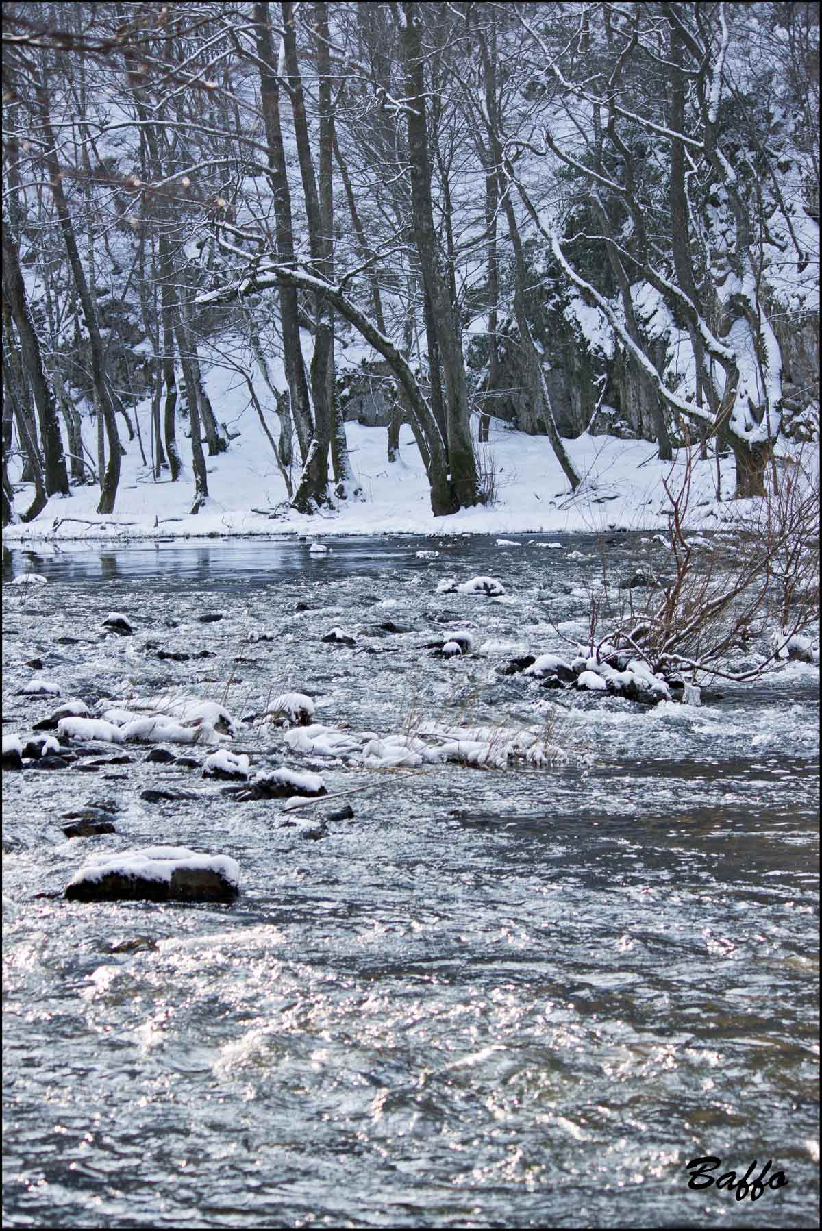 Alberi d''inverno... un invito